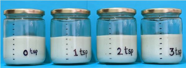 idli batter samples at 15 hrs of fermentation