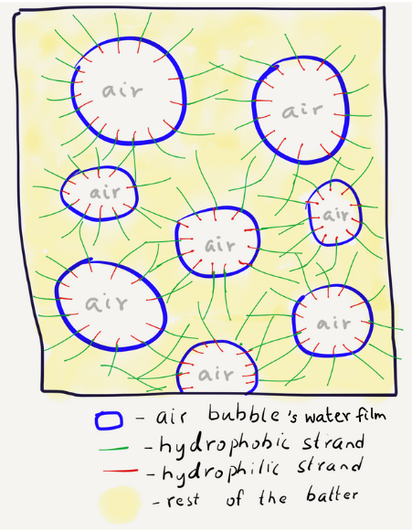 My understanding of the surface activity of urad dal proteins in idli batter